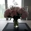 Florence Leduc - @florence.leduc8 - TikTok