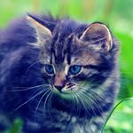 Florence Leduc - @leduc3283 - Instagram