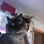 Florence Léonard - @florenceleonard547 - Instagram