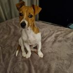Florence Leonard - @floleo987 - Instagram