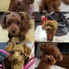 Florence Lin - @2147671540 - TikTok