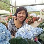 Florence Low Sow Chan - @florance.low - Instagram
