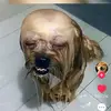 Florence Lynn - @florence.lynn1 - TikTok