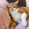 Florence Maas128 - @rockie_babycat - TikTok