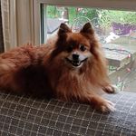 Florence Beach MacDonald - @florencebeachmacdonald - Instagram