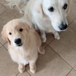 Florence MacMillan - @florence.macmillan.71 - Instagram