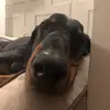 Florence  Manton - @florence.manton - TikTok