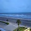 florencemanley - @florencemanley - TikTok