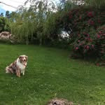 Florence Marion Wagg - @florencewagg - Instagram