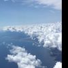 Mark Florence  - @mark._.florence - TikTok