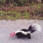 Florence Marsh - @inn_smouth - Instagram