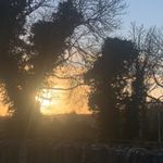 Florence Marshall - @flomarsh2020 - Instagram