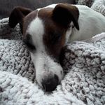 florence Marshall - @florencemc100 - Instagram