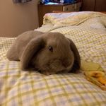 Florence Marshall - @florencemarshall688 - Instagram