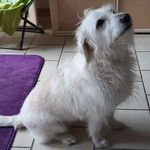 Florence Martinez - @florence.martinez.96780 - Instagram