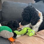 Parker & Florence Maxwell - @parker_and_florence - Instagram