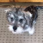 Florence McBride - Facebook