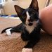 Florence Meadows - Facebook