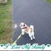 Florence Meadows - Facebook