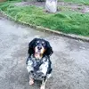 Florence Messio - @florence.messio - TikTok