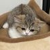 Florence Meyer - Facebook