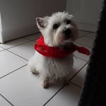 Florence Meyer - @pimkie_epinal - Instagram