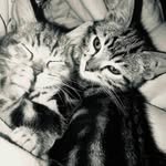 Florence Molnar - @molnarflorence - Instagram