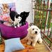 Florence Moser - Facebook