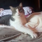 Florence Nicolas - @florence.nicolas.1656 - Instagram