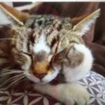 Florence Nicolas - @floflo565966 - Instagram