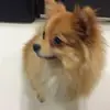 Florence Ong - @florence.ong58 - TikTok