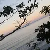 florenceparassour - @florenceparassour - TikTok