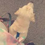 Florence Patterson - @florencepatterson9371 - Instagram