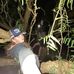 Florence Patterson - Facebook