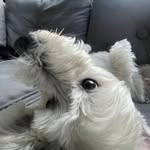 Florence patterson strugnell - @florencepattersonstrugnell - Instagram