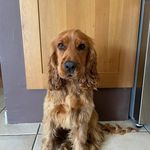 Florence Peace - @florencepeace2808 - Instagram
