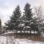 florence pearson - @pearson9977pf - Instagram