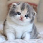 Florence Pearson - @r7ilpjk2yjd - Instagram