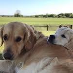 Florence & Frank Penney - @lady_florence_marmalade - Instagram