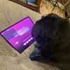 p - @piper.florence4 - TikTok