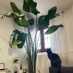 Florence Pomeroy - @florencepomeroy32 - Instagram