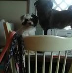 Florence Pulliam - Facebook