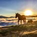 Florence Purdy - Facebook