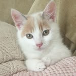 purdsandflo - @purdyandflorence - Instagram