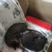 Florence Quick - Facebook