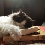 Florence Riegel - @flowhence - Instagram