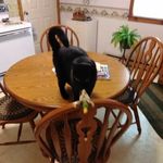 Florence Rogers - @florence.rogers.12382 - Instagram