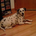 Florence Rogers - @florence.rogers.338 - Instagram