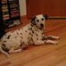 Florence Rogers - Facebook