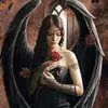 Florence Rogers - @florence.rogers5 - TikTok